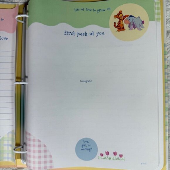 Vintage Disney x Hallmark First Year Baby Book 'Early Days of Wonder and Love' - Picture 6 of 16